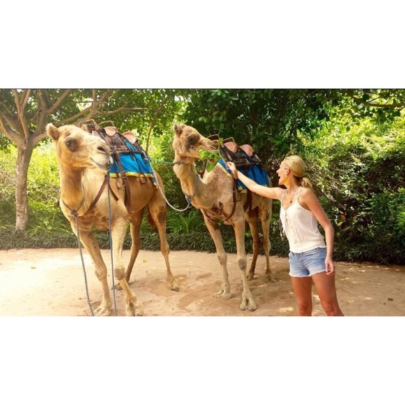 Meet your Posher, Kate - Picture 5 of 8